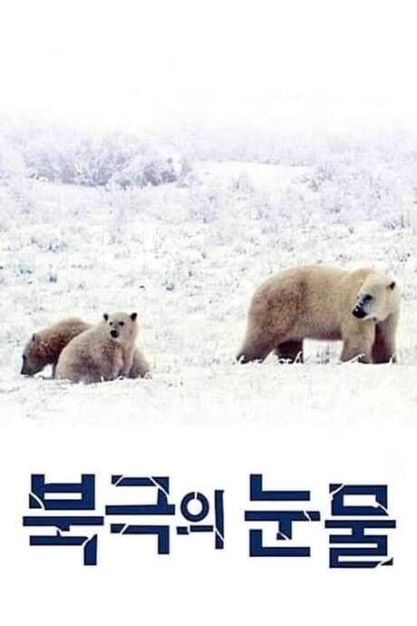 Tears in the Arctic